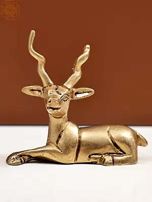 3" Small Brass Sitting Deer | Handmade