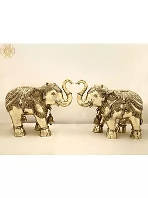 Superfine Brass Engraved Pair of Elephants