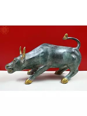 Buy Stocky Bull Figurines Only at Exotic India