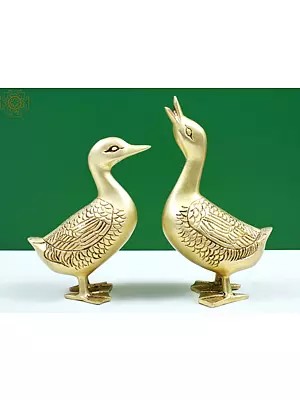 8" Brass Duck Figures