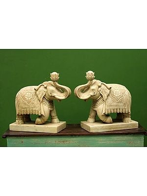 21" Marble Elephant Showpiece (Pair)