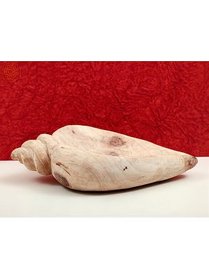 12" Conch Shape Wooden Tray