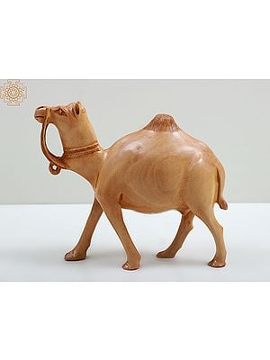 7" Wooden Camel Decorative Showpiece