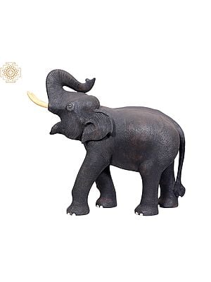 23" Trumpeting Elephant Statue in Wood