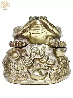 Brass Golden Frog Paper Weight