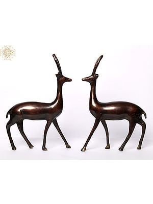 9" Brass Pair of Deer | Home Decor