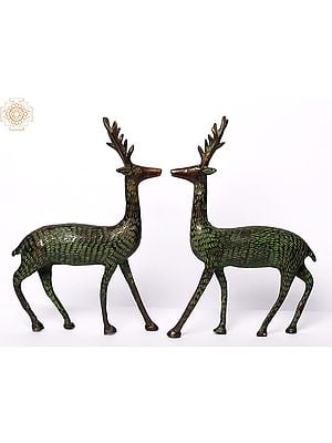 8" Brass Pair of Deer | Home Decor