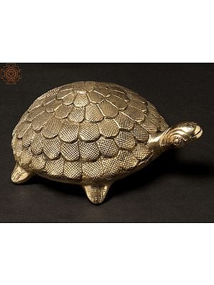 9" Heavy Shell Tortoise | Brass
