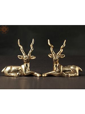 3" Pair of Cute Deer in Brass | Home Decor