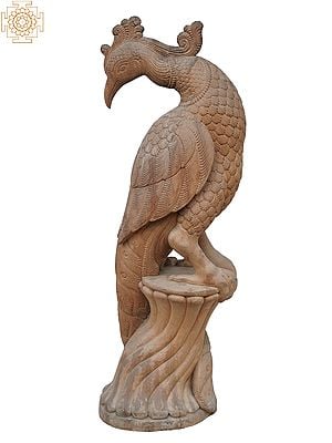 31" Large Wooden Peacock Statue