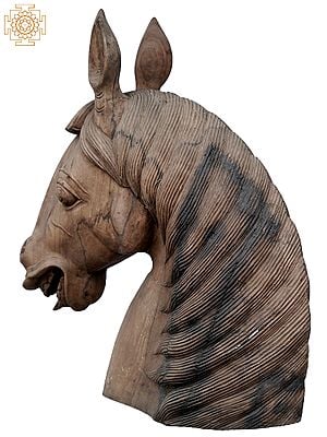 26'' Finely Carved Horse Head | Wooden Statue