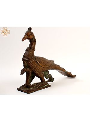 13" Peacock with Snake | Brass Statue