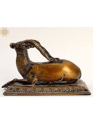 5" Small Brass Antelope Sitting on Rectangle Base | Decorative Showpiece
