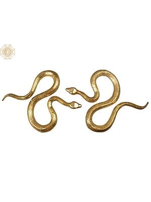 45" Large Gold-Toned Reptile (Set of 2) | Brass