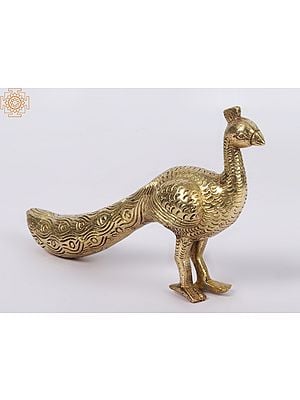 6'' Wandering Peacock | Brass Statue
