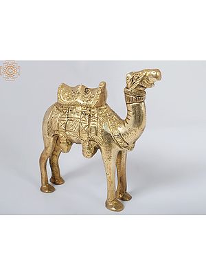 5'' Standing Camel | Brass Animal Figurine