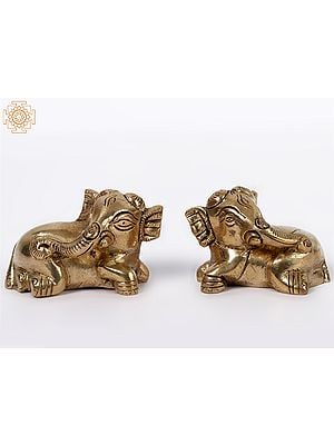 2" Small Reclining Baby Elephant Pair | Brass Statue
