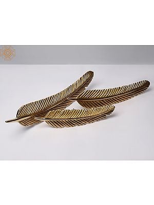 14'' Three Feather Of Birds With Screws | Wall Hanging | Home Décor