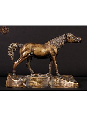 6" Horse in Brass | Decorative Showpiece