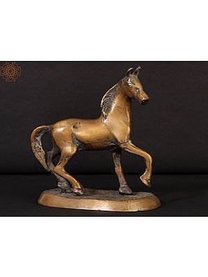 5" Small Walking Horse in Brass