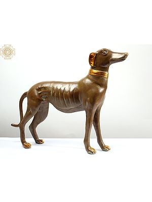 27" Greyhound Dog Brass Statue