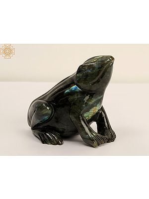 6" Frog in Labradorite Stone | Decorative Figurine