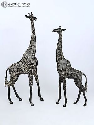 53" Pair of Giraffe Statues in Brass - The Tallest Animal on Earth