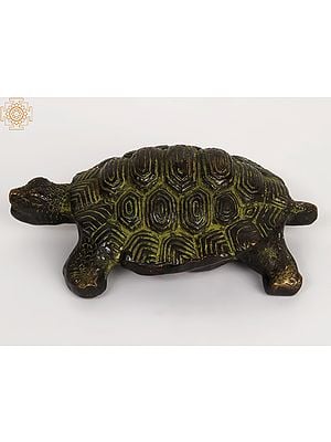 8" Brass Decorative Tortoise Statue