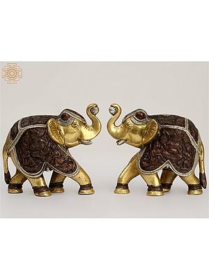5" Small Brass Pair of Elephant Statue | Home Decor