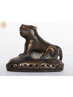 3" Small Lion Design Foot Scrubber in Bronze | Collector Item