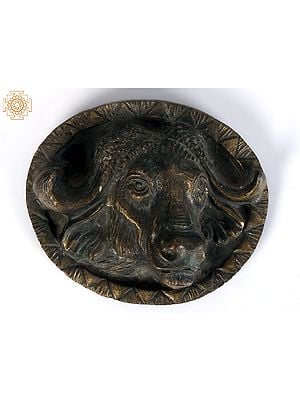4" Small American Bison Tribal Knob in Brass