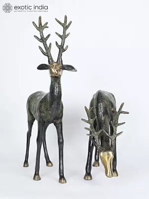 28" Pair of Beautiful Deer Figurines in Brass