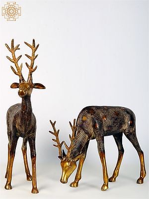 28" Pair of Beautiful Deer Figurines in Brass