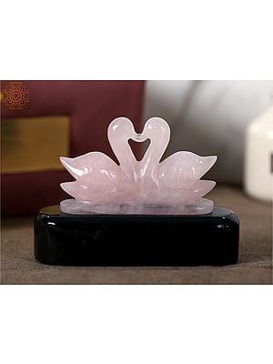 Rose Quartz Mandarin Duck on Black Agate Pedestal with Gift Box