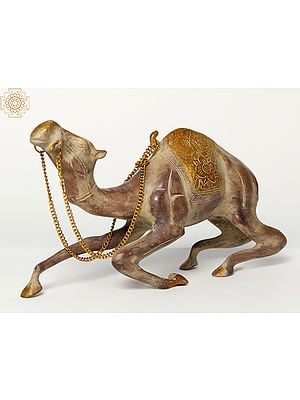 12" Seated Brass Camel Figurine | Decorative Piece
