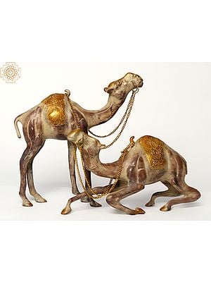 12" Brass Camel In Pair | Decorative Piece