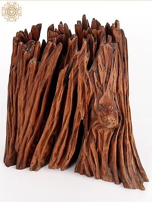 Natural Driftwood Art Statue | Home Décor