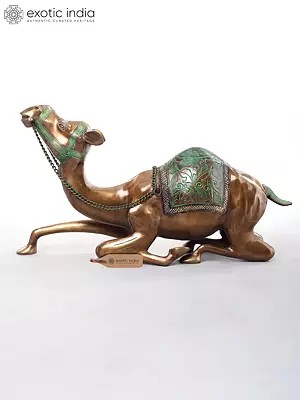 Camel with Outstretched Neck