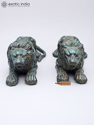Majestic Brass Lion Pair for Table Decor
