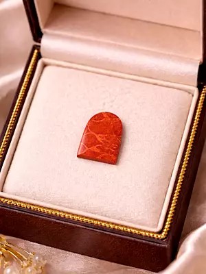 Geometric Cut Sponge Coral (Single Piece)