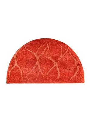 Semi Circle Cut Sponge Coral (Single Piece)