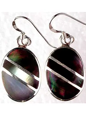 Abalone Shell Earrings