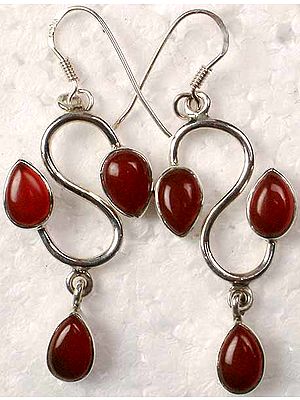 Designer Carnelian Earrings