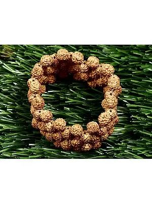 Rudraksh Stretchable Bracelet