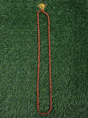 Rudraksh Mala
