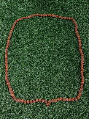Rudraksh Mala