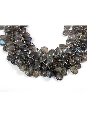 Labradorite Briolette (Price of 1 String)