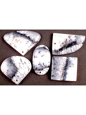Lot of 5 Dendrite Opal Drilled Cabochons