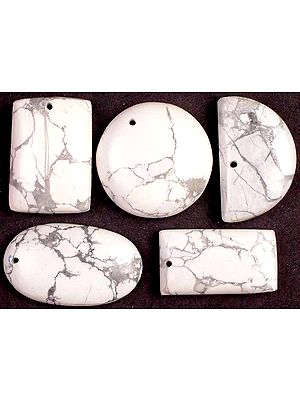 Lot of 5 Howlite Drilled Cabochons