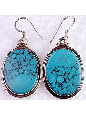 Oval Turquoise Earrings